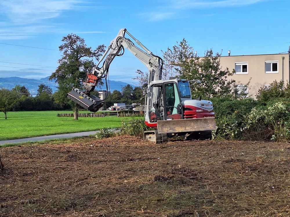 Bewuchsbefreiung mit unserem Bagger, Erdbau Leiblachtal, Schmid Erdbau