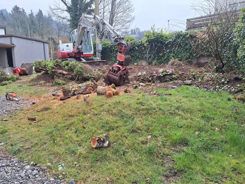Bewehrte Erde, Stützmauer aus Erde, Schmid Erdbau, Hörbranz, Leiblachtal