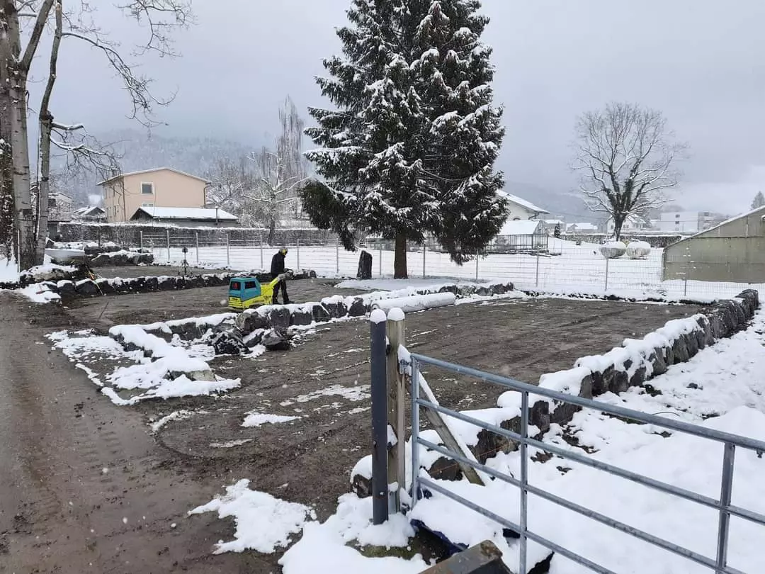 Schmid Erdbau, Gartengestaltung, Außenanlagen, Naturparadies, Hörbranz, Leiblachtal