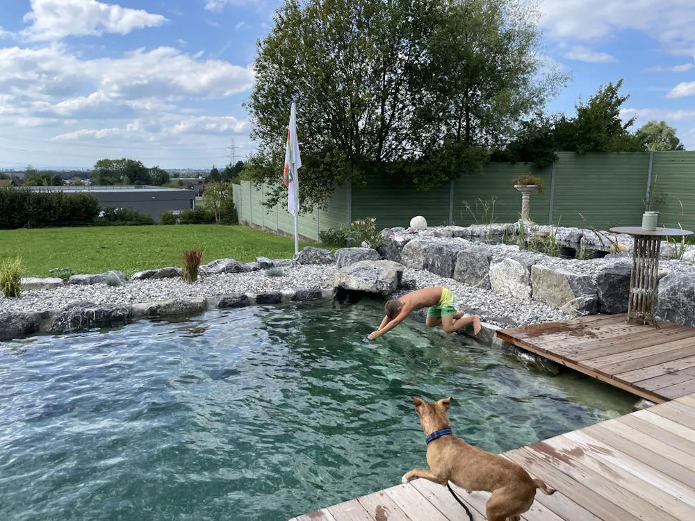 Erdbau Schmid, Schmid naturpool Leiblachtal, Hörbranz, Schwimmteich, Erdbewegungen