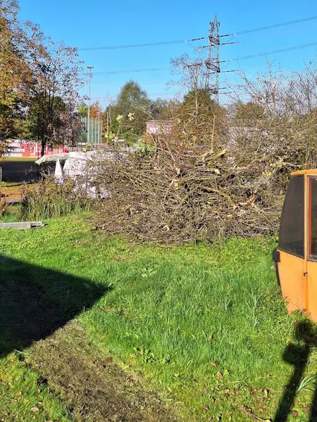 Rodungen, Gehölzen, Bäume, Sträucher, Schmid Erdbau, Hörbranz, Leiblachtal