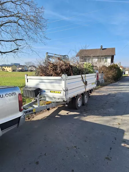 Rodungen, Gehölzen, Bäume, Sträucher, Schmid Erdbau, Hörbranz, Leiblachtal