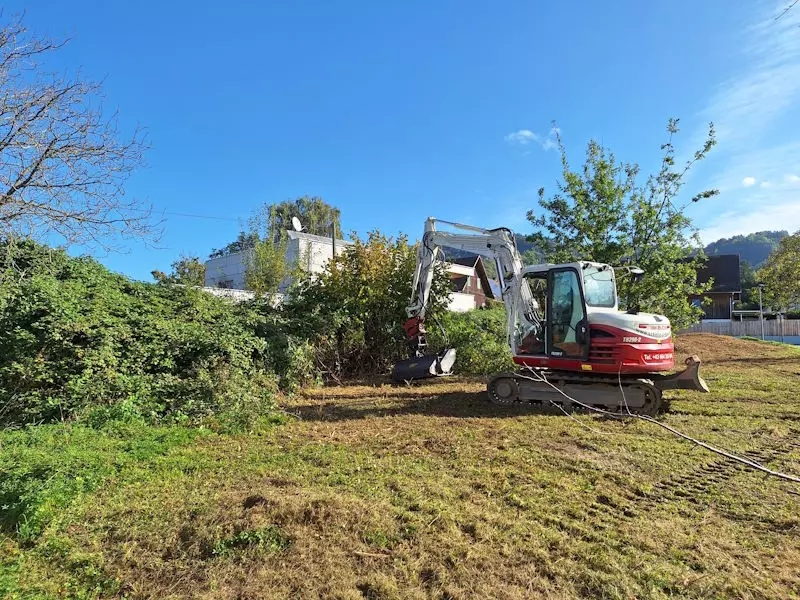 Rodungen, Gehölzen, Bäume, Sträucher, Schmid Erdbau, Hörbranz, Leiblachtal