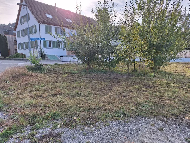 Rodungen, Gehölzen, Bäume, Sträucher, Schmid Erdbau, Hörbranz, Leiblachtal